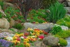 Badgerin Rockplanting-garden-and-landscape-design-69.jpg; ?>